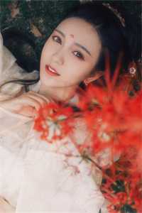 风起远山月独家