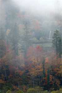 上幼儿园的女儿感染艾滋后，我杀疯了全局