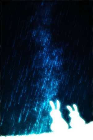 以爱之名掩盖罪行无广告