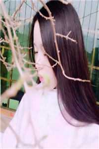 假千金撞断我的腿，全家包庇她后悔疯了顾珍季博初全章节免费在线阅读