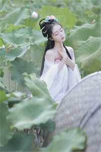 雾隐繁花情已逝宋颜泽江晚吟全本免费在线阅读完结版免费阅读