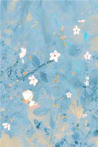 明月昭昭不照我赵袅袅陈璟已完结txt小说全本免费在线阅读