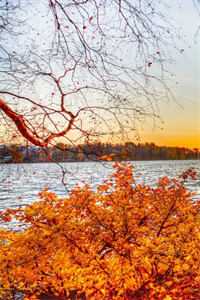 面朝大海，春暖花开陶思怡杨瑾全文免费在线阅读完整版全本