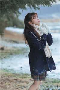 我助她成为霸总，她却转身不要我了陆寒楚若烟全文免费阅读无弹窗大结局