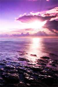 残阳落幕，爱恨沉海祁战安馨全章节笔趣阁小说在线阅读