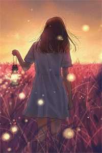 沉舟尽历万木春傅沉舟阮知微全文在线阅读免费完本小说在线阅读