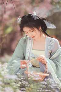 爱恨两宽，各生欢喜淮川顾淮川全章节免费在线阅读