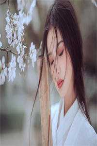 长叹雁归难留顾裴延江照璃最新章节在线阅读