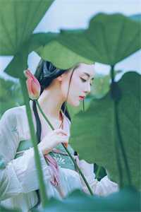 我的盟友们，把我当养成游戏对象？云苓迟盛全集小说在线阅读完结版免费阅读