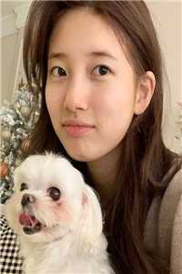 被全族扒光浸猪笼时，圣旨到了冬梅卓阳小说在线免费阅读无广告弹窗