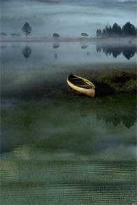 超品神婿精修版