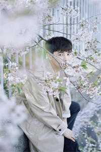 重回五年前，手撕出轨白月光全章节阅读