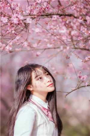 畅读佳作推荐锦绣聆春