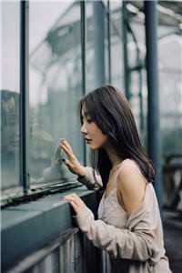 风雪千山春色晚小说清爽版阅读完美最终质量好文