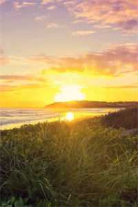 贺万宁陆知恒贺万宁陆知恒全文在线阅读无弹窗结局_回首酣然惆怅客：全文+后续结局章节列表_笔趣阁番外