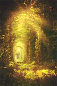 朴槿雅傅铖凛在线阅读无删减全文