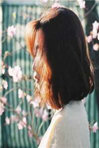 至此鲜花赠自己完结文