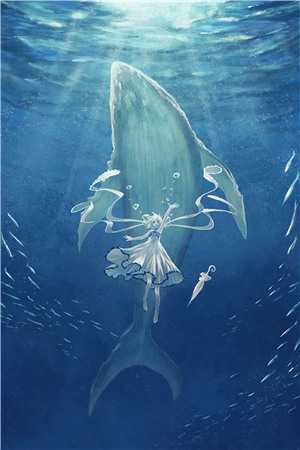 抓住裂缝里的光：番外+全文新书