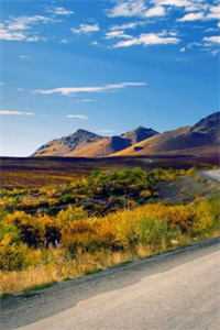 苏在野珠落辞宋全文免费阅读无弹窗大结局_苏在野珠落辞宋最新章节列表_笔趣阁在线最新无删减全文