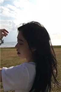 心似已灰之木后续