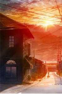 一场大梦一场空：全文+后续章节