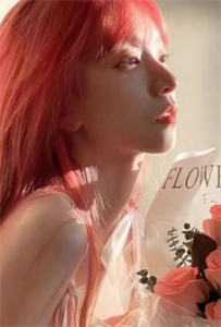 梦里灯火不渡我：全文+后续+结局免费全章节免费在线阅读