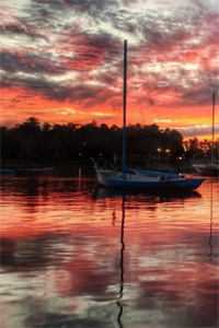 林书意陆沉全文阅读无弹窗结局_结局章节列表_笔趣阁在线最新全章节阅读听书全文免费大结局阅读