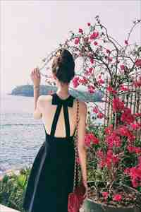 鲸落深海，勿念安然沈淮川简安然最新章节在线阅读抖音小说全本阅读