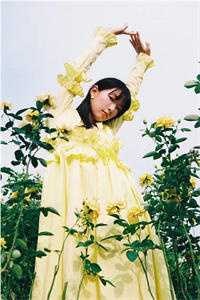 月光洒下离人巷谢诚景洛婉雪全章节阅读听书全文免费大结局阅读