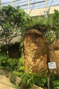 温尔雅顾行舟：+后续+结局完结阅读无弹窗大结局_最新章节列表_笔趣阁在线最新完整版txt在线阅读