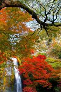 撞入霸总怀,我狠狠拿捏了他的心徐漪沅贺岁聿小说全文免费阅读无弹窗大结局