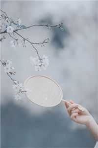 我在回忆里万劫不复谢梵声秦见鹿抖音小说全本阅读全章节阅读听书