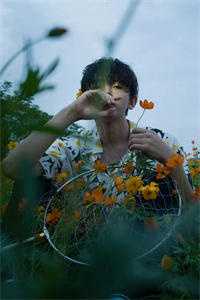 何时雾散尽：结局+番外,阮念傅瑾淮免费已完结txt小说全本免费在线阅读