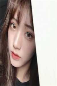 月光洒下离人巷：结局+番外+续集谢诚景洛婉雪小说在线免费阅读无广告