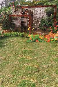 放女友自由后，我觉醒写歌续命系统陆沉柳如烟全文免费阅读最新章节阅读