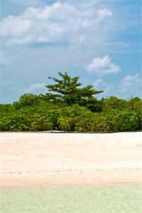 血色爱情林妍江廷渊免费阅读完整版txt小说无删减