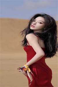 嫁入豪门五年老公的白月光终于回归后，我火速卷钱跑路何沐城白月光最新章节完整版无删减在线阅读