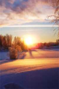 未婚妻儿子来闹婚后，这个婚我不结了柳若莹白月光全本在线免费阅读