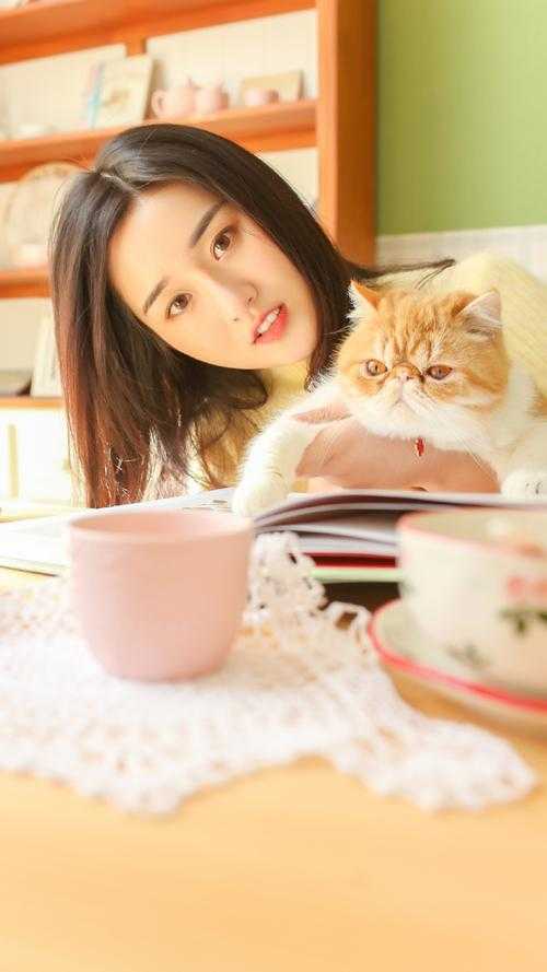 我提出离婚两清后，总裁妻子全家慌了顾迟云云晚晚全集在线阅读小说无删减