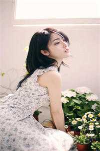 纯享未逢仍念往免费最新章节完整版无删减在线阅读