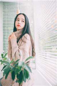 重生后，我的魅力怎么一路狂飙南川宁风笙完结版阅读免费阅读笔趣阁txt