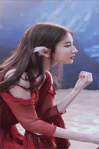 以爱为由，他囚我在心房沈时渊南柯完整版免费在线阅读