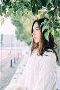 撞坏校花法拉利怎办?在线等,急!李云染叶兮全文免费在线阅读完整版全本