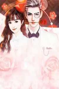 娘子树敌太多，我被迫上位了冯清岁纪长风免费小说在线阅读全集