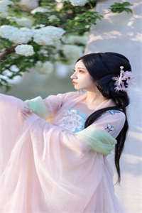 娶了绝美女神，前妻悔得满地打滚季星河南清羽小说免费在线阅读无删减正版