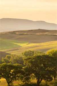 执手成殇：+后续+结局最新章节列表_执手成殇：+后续+结局全文阅读在线最新全文免费阅读最新章节阅读