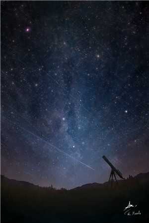 萧瑟夜半风又起裴若语贺誉沉完整版小说免费阅读全文免费阅读_