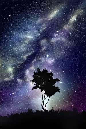 兰因絮果，爱终成空裴景珩沈如安最新章节在线阅读有声小说