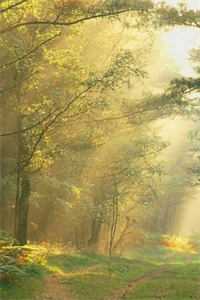 江临洲姜念初小说全文免费小说免费阅读完整版在线