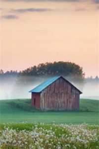 全家读心：炮灰媳妇逆袭了乔婳顾闻泽小说在线免费阅读无广告